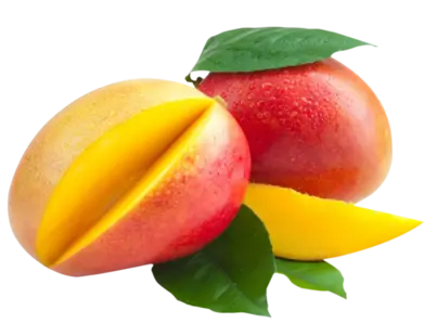 Mango Tommy one of our Tropical Fruit