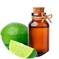 Persian Lime - Essences