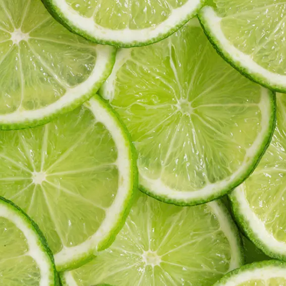 Persian Lime - Sweet Lime